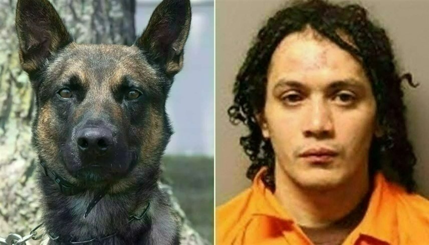 كلب-يُعيد-قاتلاً-هارباً-إلى-السجن-في-عملية-مثيرة