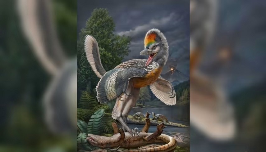 ديناصور-غريب-يشبه-الطيور-بأرجل-طويلة-يثير-اهتمام-العلماء